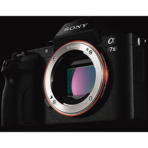 Sony Alpha 7 II Karosserie Schwarz