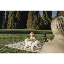 Laden Sie das Bild in den Galerie-Viewer, DJI Osmo Pocket 3 Creator Combo