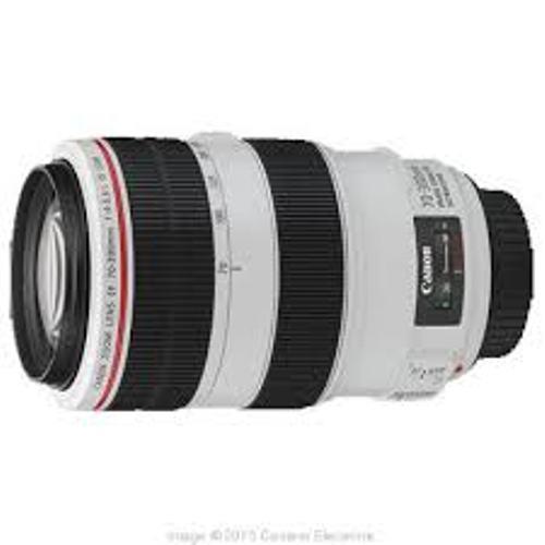 Ziel: Canon EF 70-300 mm, F:4-5.6L IS USM