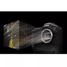 Laden Sie das Bild in den Galerie-Viewer, Canon EOS R3 Gehäuse