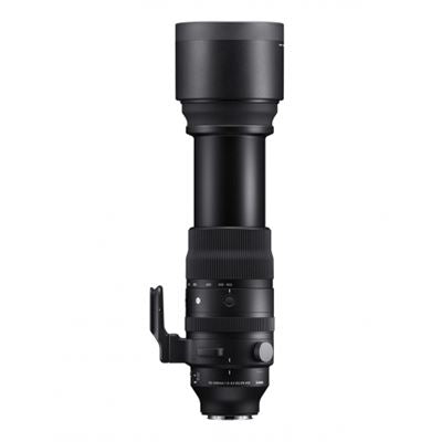 Sigma 150-600mm F5-6.3 DG DN Sports für Sony E